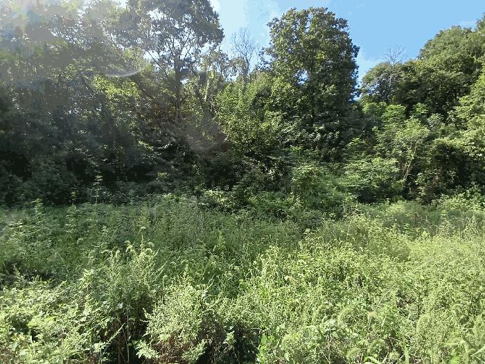 전라남도 보성군 벌교읍 대포리 545 전 경매 사진 5