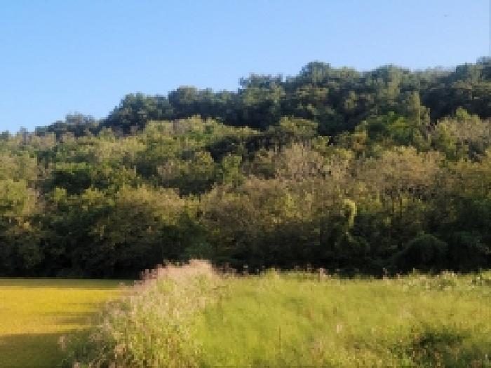 전라남도 보성군 벌교읍 대포리 542 전 경매 사진 17