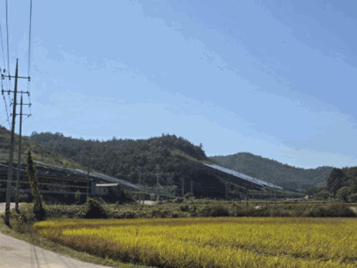 전라남도 보성군 임야