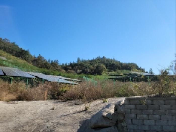 전라남도 보성군 노동면 대련리 산37 임야 경매 사진 2