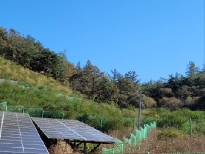 전라남도 보성군 노동면 대련리 산37 임야 경매 사진 3