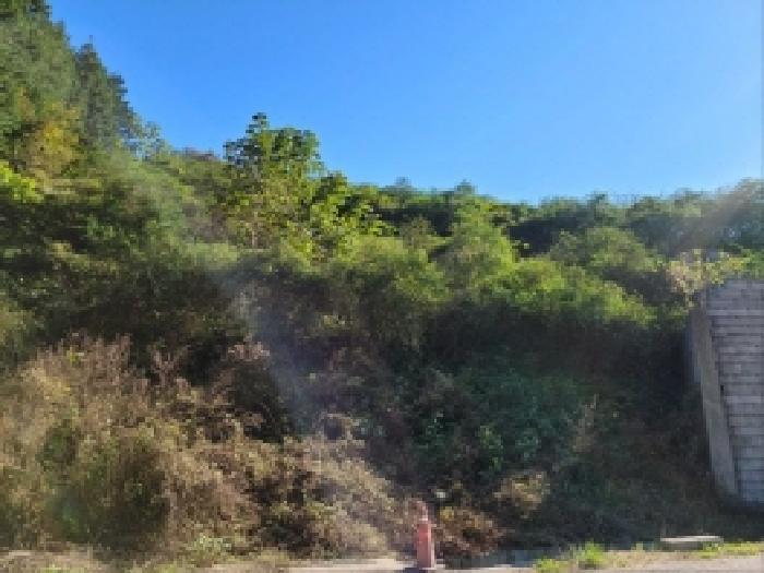 전라남도 보성군 노동면 대련리 산37 임야 경매 사진 6