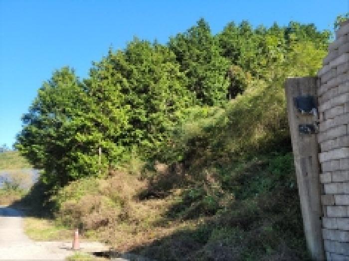 전라남도 보성군 노동면 대련리 산37 임야 경매 사진 7
