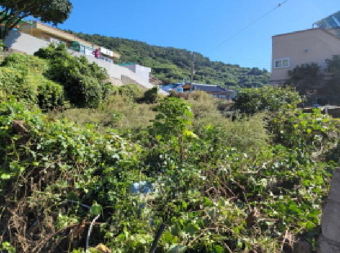 전라남도 여수시 삼산면 동도리 568-2 전 경매 사진 10
