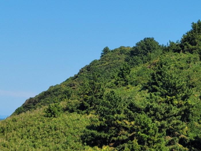 전라남도 여수시 삼산면 동도리 568-2 전 경매 사진 18