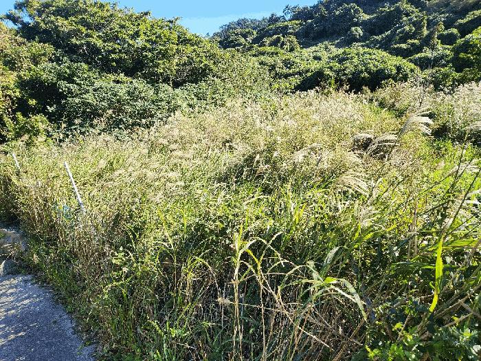 전라남도 여수시 삼산면 동도리 568-2 전 경매 사진 2