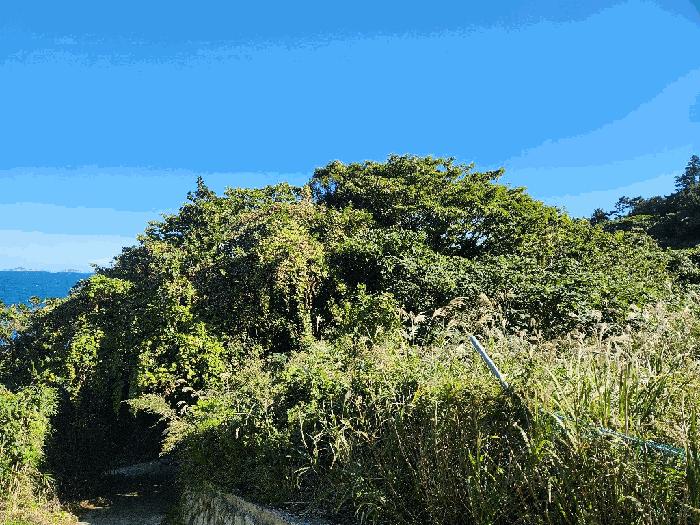 전라남도 여수시 삼산면 동도리 1064 답 경매 사진 1