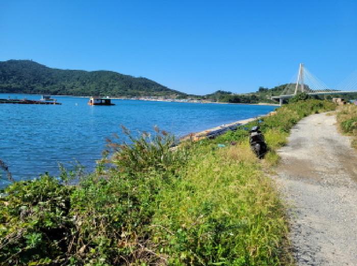 전라남도 여수시 삼산면 동도리 1064 답 경매 사진 11