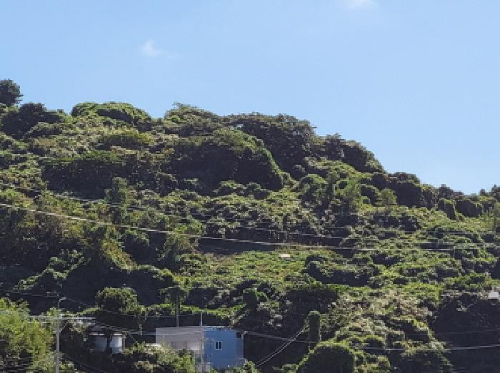 전라남도 여수시 삼산면 동도리 1064 답 경매 사진 21