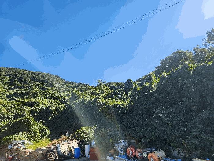 전라남도 여수시 삼산면 동도리 1064 답 경매 사진 7