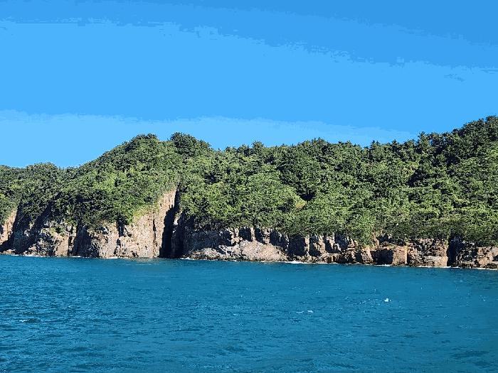 전라남도 여수시 삼산면 동도리 1064 답 경매 사진 8