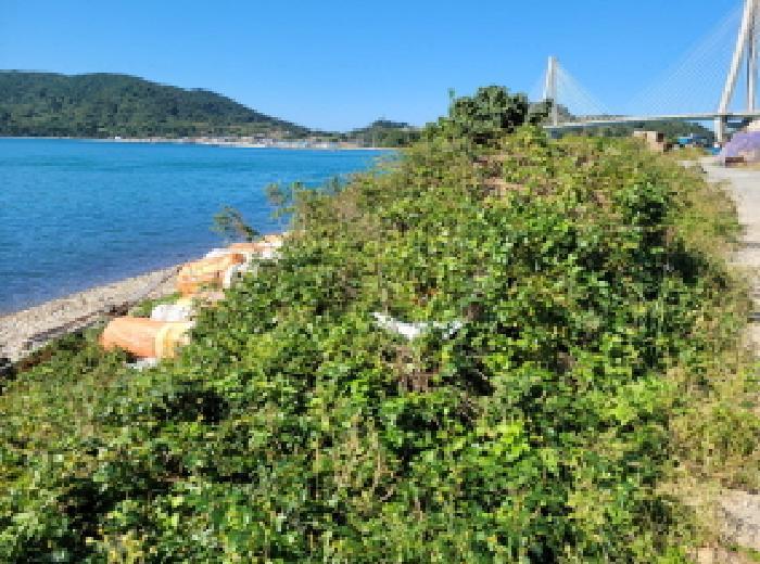 전라남도 여수시 삼산면 동도리 산106 임야 경매 사진 12