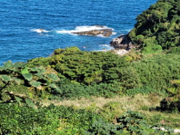 전라남도 여수시 삼산면 동도리 산106 임야 경매 사진 23