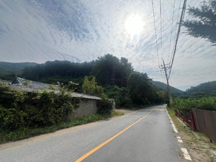 경기 양평군 임야
