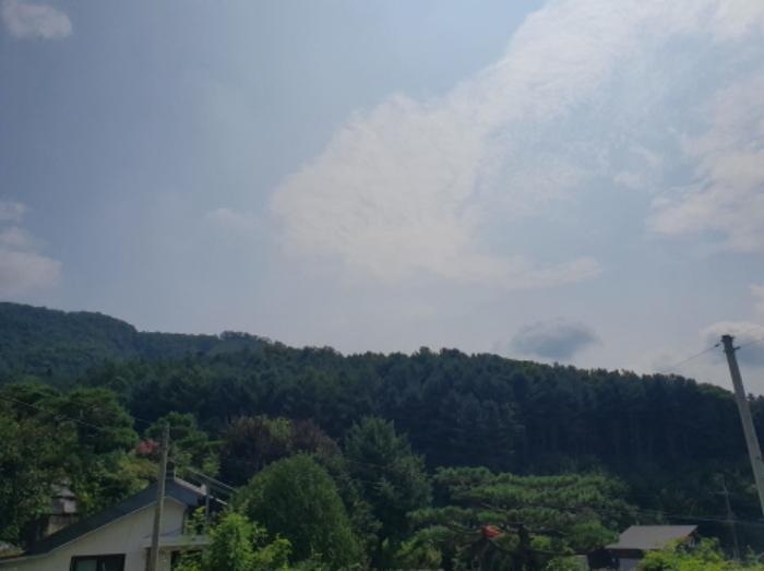 경기도 양평군 서종면 수능리 산17 임야 경매 사진 10