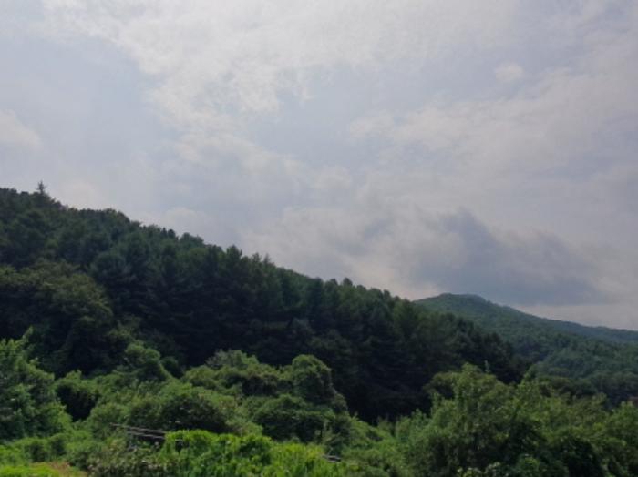 경기도 양평군 서종면 수능리 산17 임야 경매 사진 12