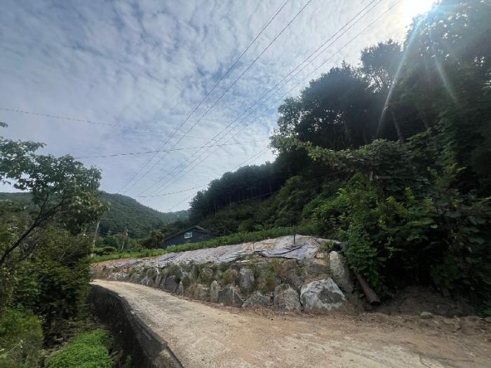 경기도 양평군 서종면 수능리 산17 임야 경매 사진 2