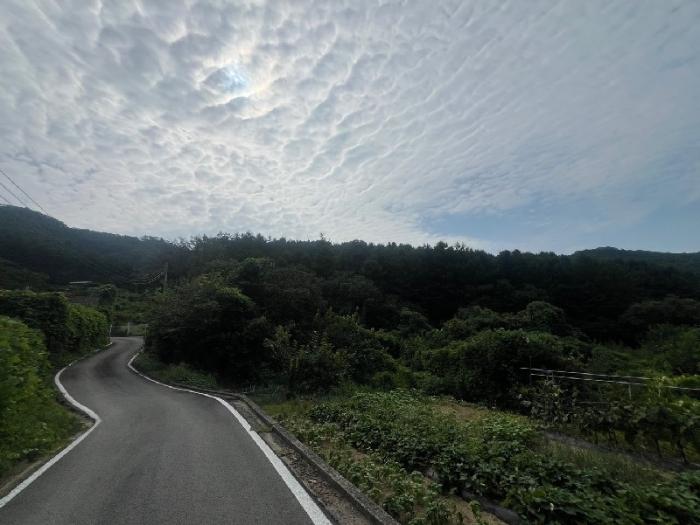 경기도 양평군 서종면 수능리 산17 임야 경매 사진 3