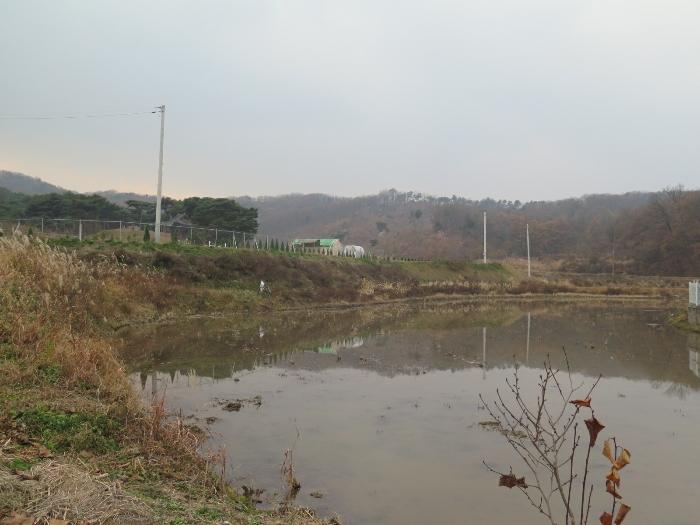 경기도 이천시 모가면 송곡리 643 답 경매 사진 9