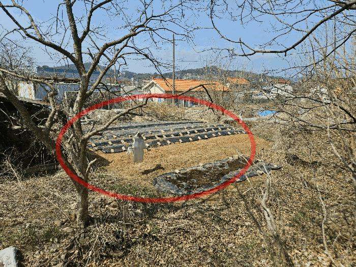 경기도 안산시 단원구 대부북동 1303-8 대지 경매 사진 1