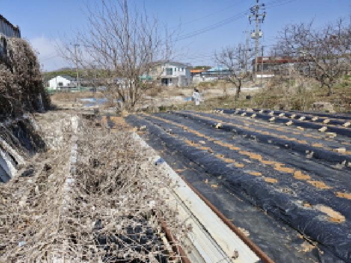 경기도 안산시 단원구 대부북동 1303-8 대지 경매 사진 6
