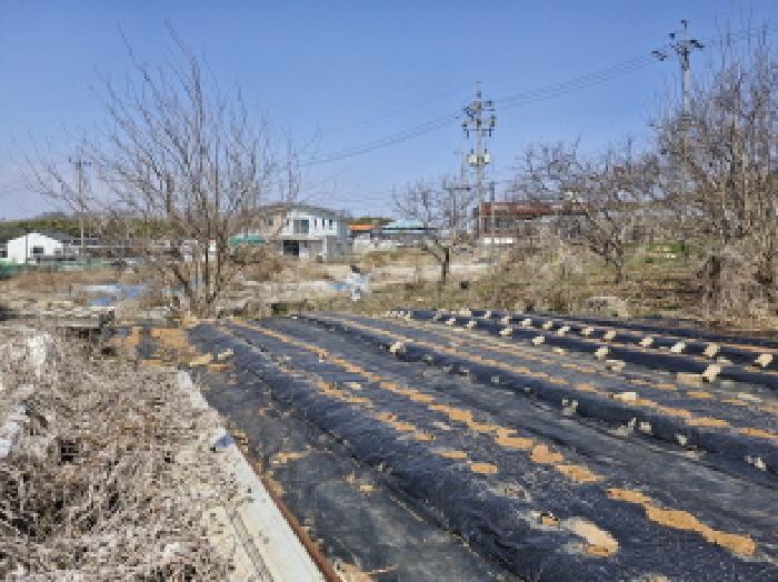 경기도 안산시 단원구 대부북동 1303-8 대지 경매 사진 7