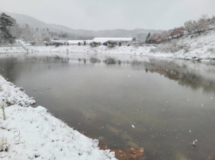 경기도 이천시 모가면 산내리 105 답 경매 사진 19