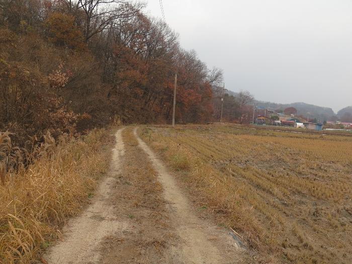 경기도 이천시 모가면 산내리 129 답 경매 사진 13