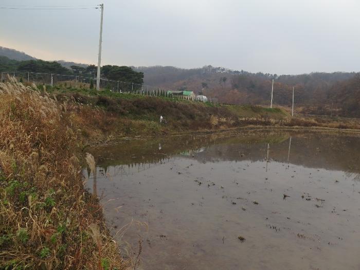 경기도 이천시 모가면 산내리 129 답 경매 사진 2