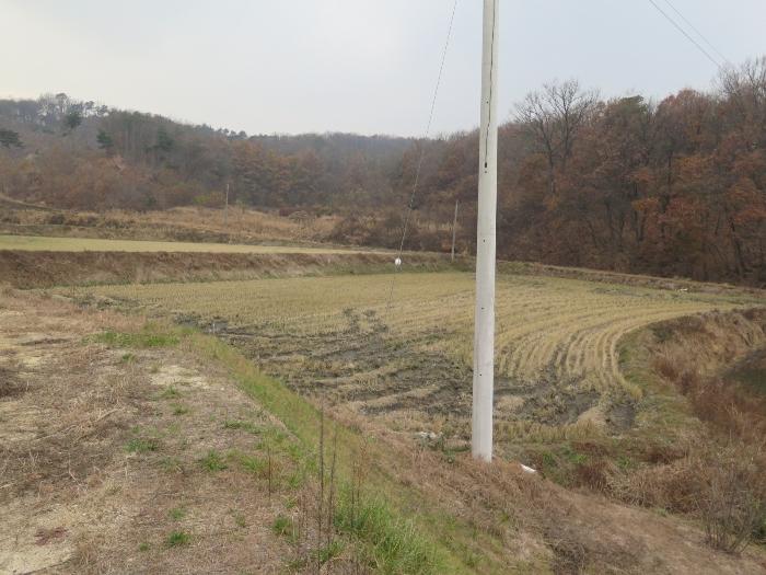 경기도 이천시 모가면 산내리 129 답 경매 사진 5