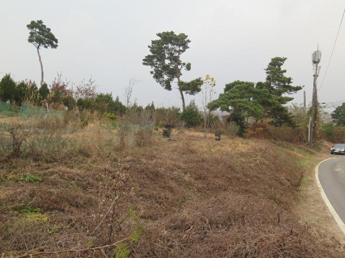 경기도 이천시 모가면 산내리 129 답 경매 사진 7