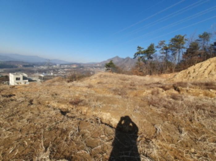 경기도 양평군 양평읍 백안리 105-55 임야 경매 사진 23