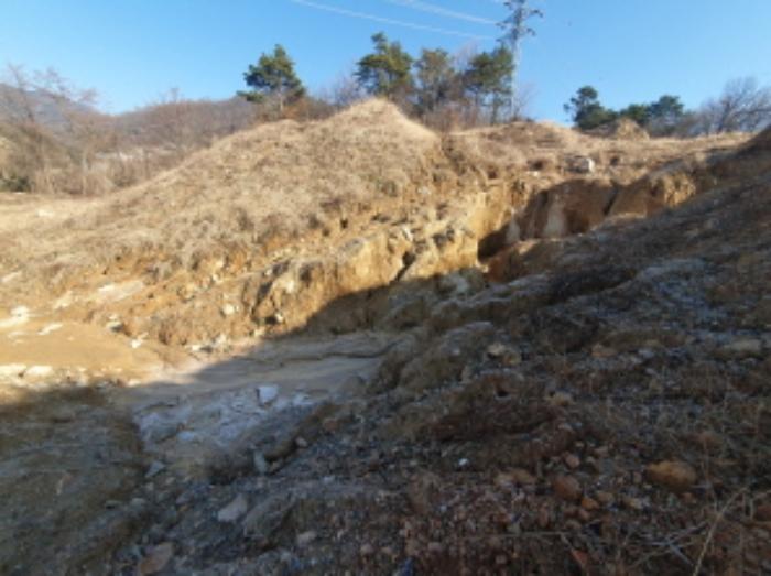 경기도 양평군 양평읍 백안리 105-55 임야 경매 사진 28