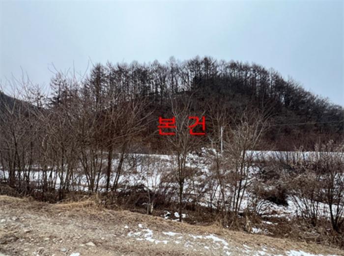 경기 양평군 임야