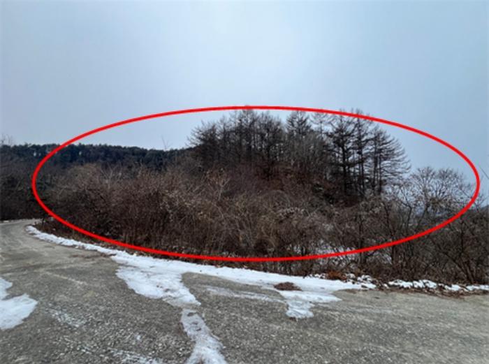 경기도 양평군 청운면 가현리 401-1 임야 경매 사진 2