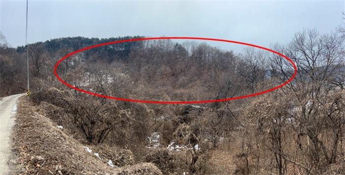 경기도 양평군 청운면 가현리 401-1 임야 경매 사진 4