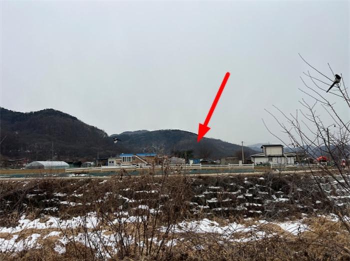 경기도 양평군 청운면 가현리 401-1 임야 경매 사진 5