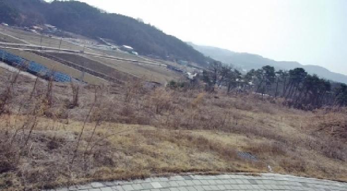 세종특별자치시 장군면 대교리 370-46 대지 경매 사진 12