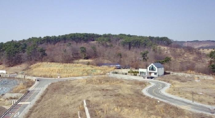 세종특별자치시 장군면 대교리 370-46 대지 경매 사진 20