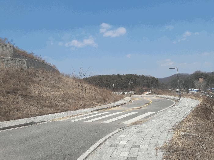 세종특별자치시 장군면 대교리 370-46 대지 경매 사진 3