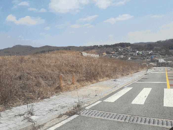 세종특별자치시 장군면 대교리 370-46 대지 경매 사진 6