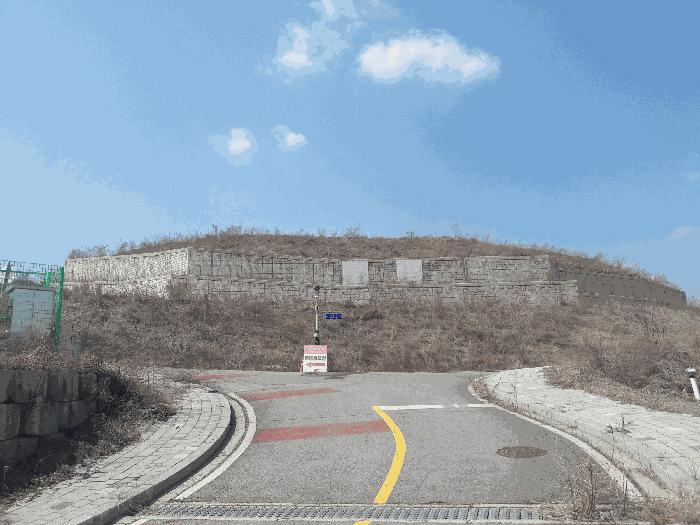 세종특별자치시 장군면 대교리 370-46 대지 경매 사진 7