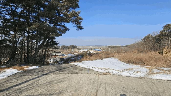 세종특별자치시 연동면 내판리 1-4 임야 경매 사진 12