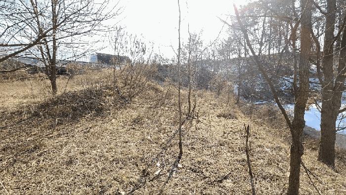 세종특별자치시 연동면 내판리 1-4 임야 경매 사진 8
