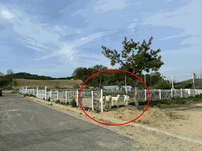세종 장군면 전
