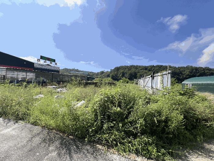 경기도 파주시 파주읍 향양리 187-3 전 경매 사진 4