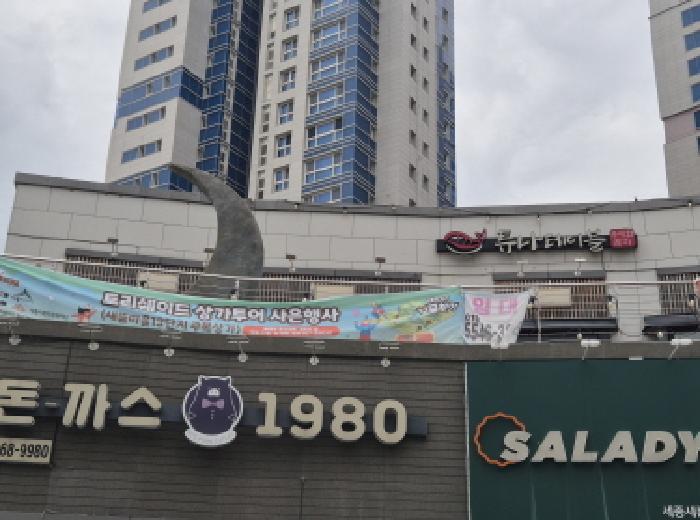 세종특별자치시 새롬동 564 새뜸마을13단지 근린생활시설 2층에이-204호 근린상가 경매 사진 8