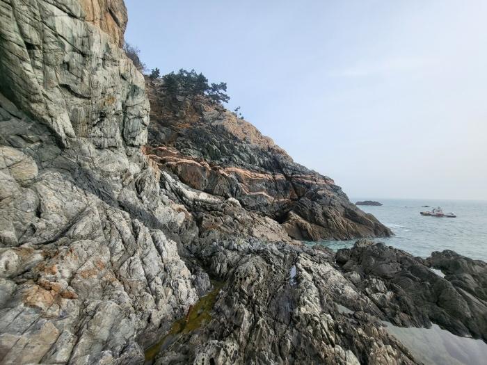 충청남도 태안군 근흥면 신진도리 산19 임야 경매 사진 10