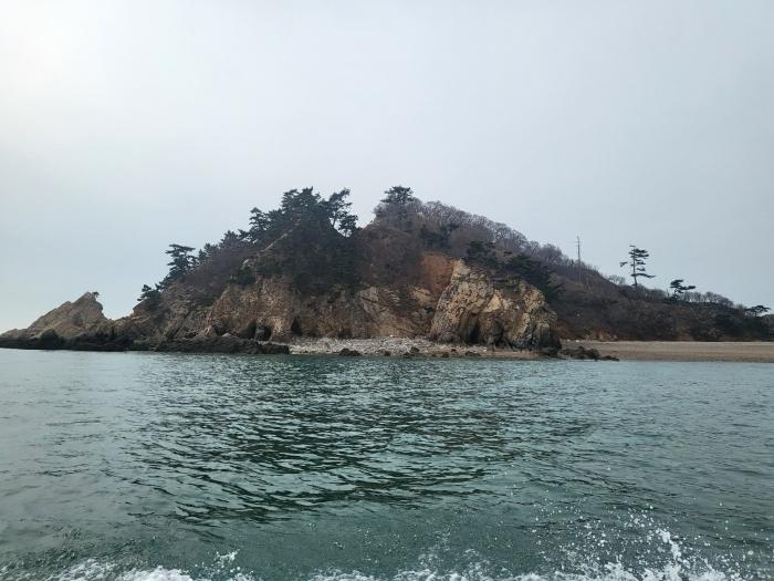 충청남도 태안군 근흥면 신진도리 산19 임야 경매 사진 11