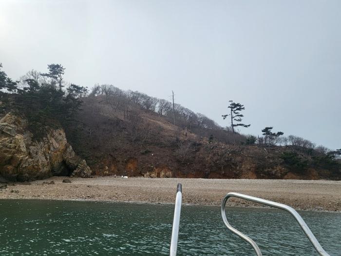 충청남도 태안군 근흥면 신진도리 산19 임야 경매 사진 12